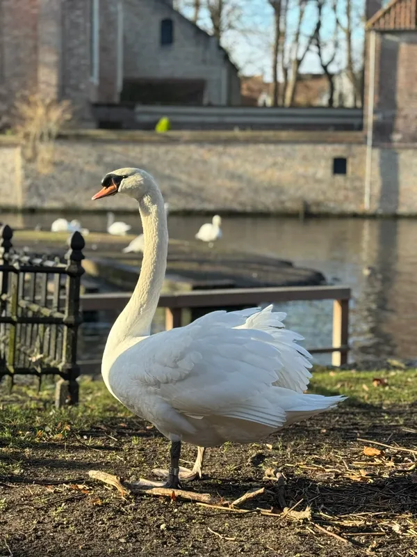 Where is your soulmate?